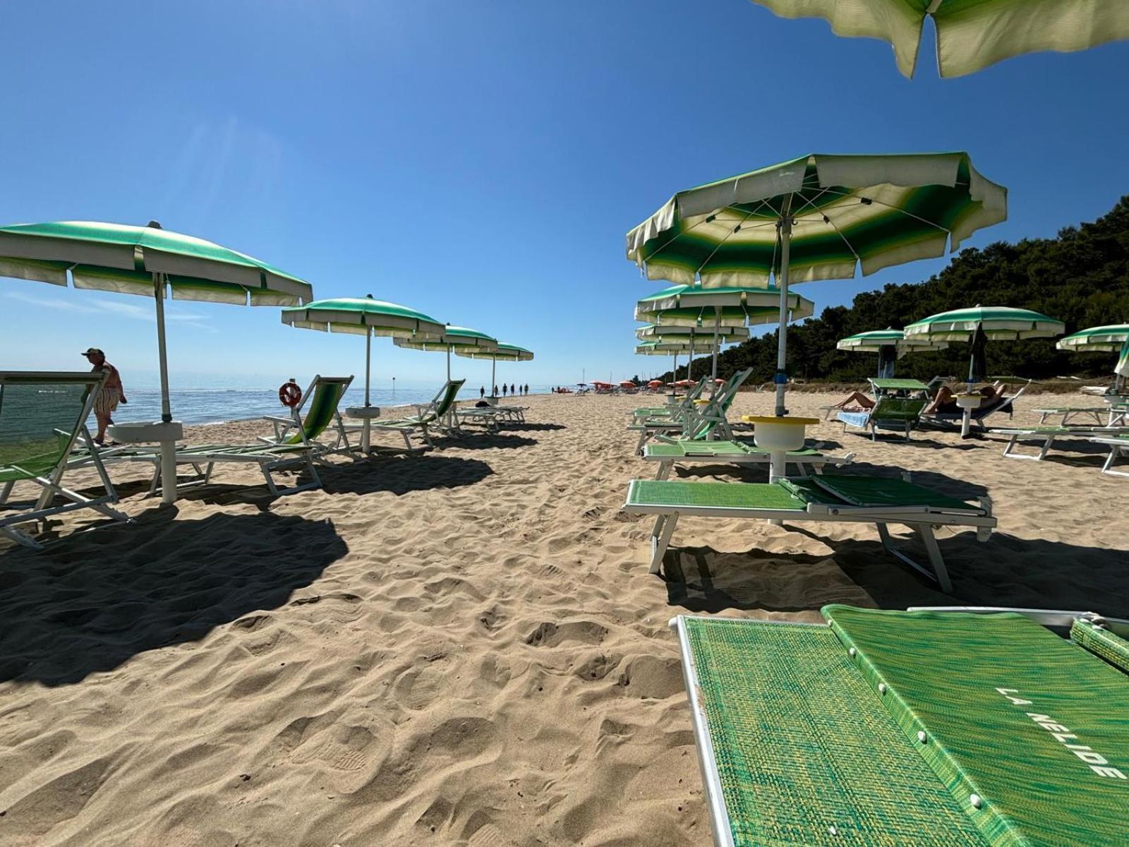 Loft 3, A 150 M Dal Mare, Pineto Centro Apartment Екстериор снимка
